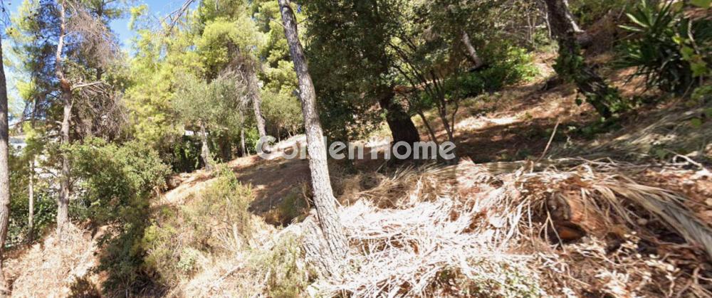 building-plot στην Ροδόπολη — Φωτογραφία 2 από 3