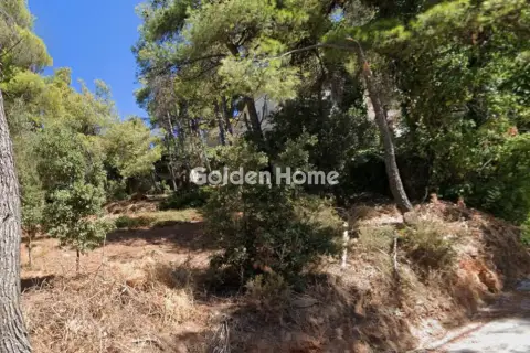 Residential 800m<sup>2</sup> for sale photo 5649754