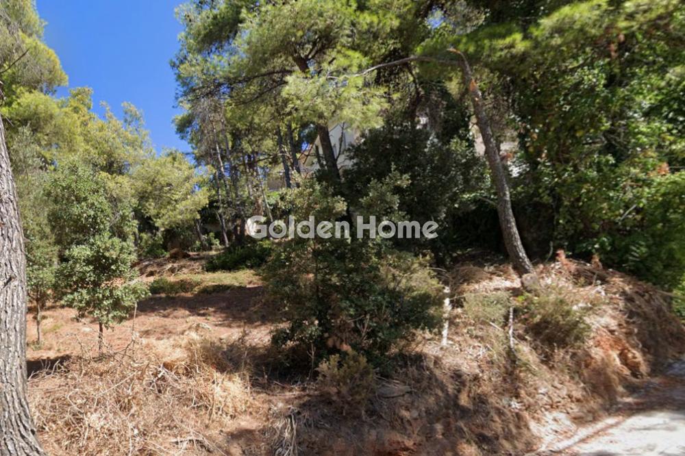 building-plot στην Ροδόπολη — Φωτογραφία 3 από 3