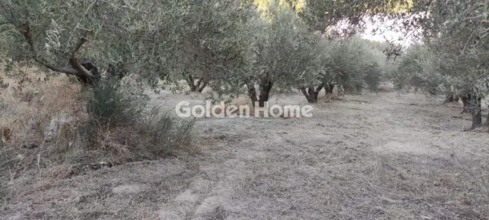 Οικιστικό 2482τ.μ. προς πώληση φωτογραφία 5646468