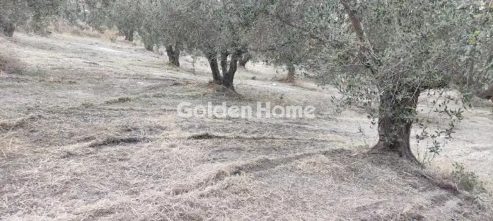 Οικιστικό 2482τ.μ. προς πώληση φωτογραφία 5646464