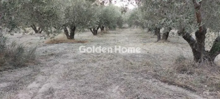 Οικιστικό 2482τ.μ. προς πώληση φωτογραφία 5646465
