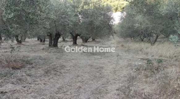 Οικιστικό 2482τ.μ. προς πώληση φωτογραφία 5646466