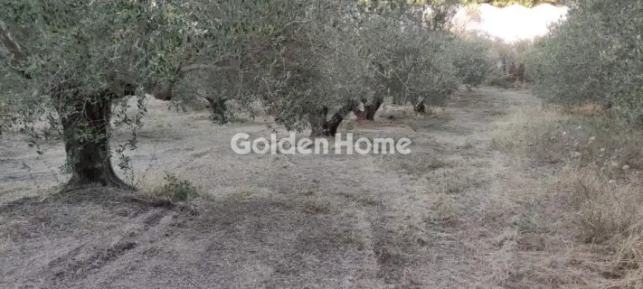 Οικιστικό 2482τ.μ. προς πώληση φωτογραφία 5646467