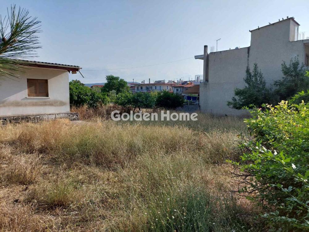 Οικόπεδο στην Κέντρο, Σχηματάρι — Φωτογραφία 1 από 2