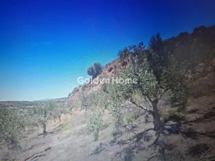 Residential 4340m<sup>2</sup> for sale photo 5653335