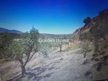 Residential 4340m<sup>2</sup> for sale photo 5653338