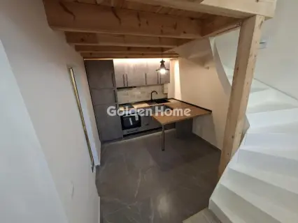 Studio 55m<sup>2</sup> for rent photo 5648752