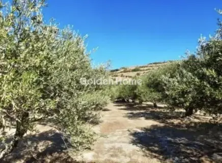 Residential 8000m<sup>2</sup> for sale photo 5657782