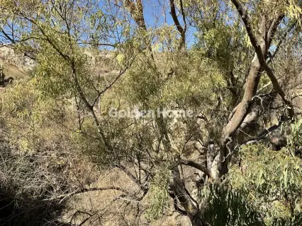 Parcel 5334m<sup>2</sup> for sale photo 2