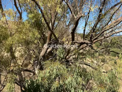 Parcel 5334m<sup>2</sup> for sale photo 3