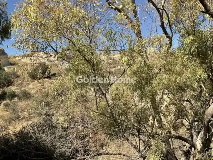 Parcel 5334m<sup>2</sup> for sale photo 5