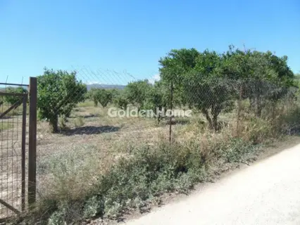 住宅 1600m<sup>2</sup> for sale photo 5663726