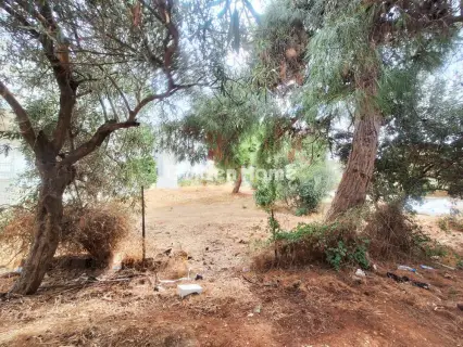 Residential 332m<sup>2</sup> for sale photo 6