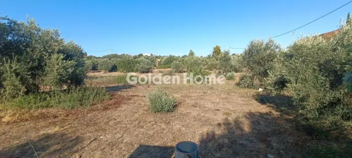Οικιστικό 790τ.μ. προς πώληση φωτογραφία 1