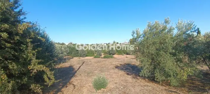 Οικιστικό 790τ.μ. προς πώληση φωτογραφία 5