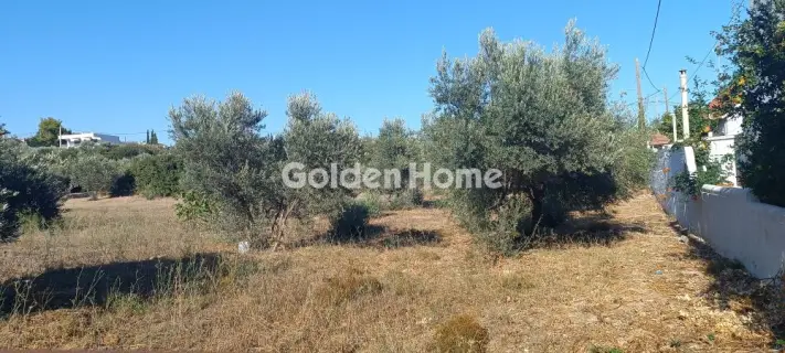 Οικιστικό 790τ.μ. προς πώληση φωτογραφία 5671160