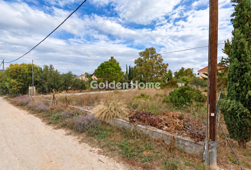 building-plot in Nea Makri — Photo 2 of 3
