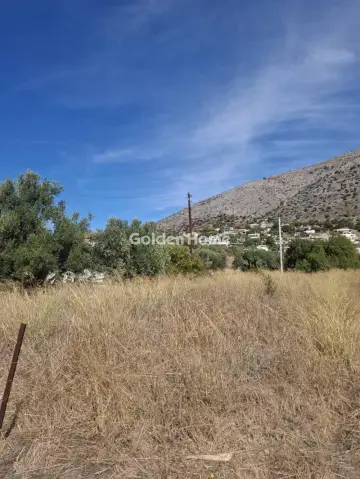 Οικιστικό 205τ.μ. προς πώληση φωτογραφία 5674455