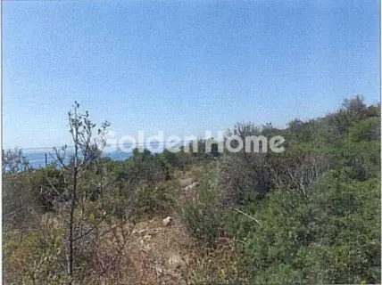 Οικιστικό 14024τ.μ. προς πώληση φωτογραφία 5653035