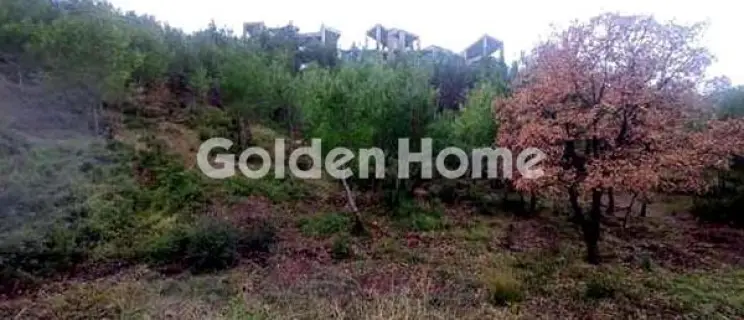 Οικιστικό 800τ.μ. προς πώληση φωτογραφία 5663155