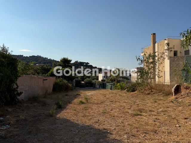 building-plot in Koropi — Photo 5 of 7