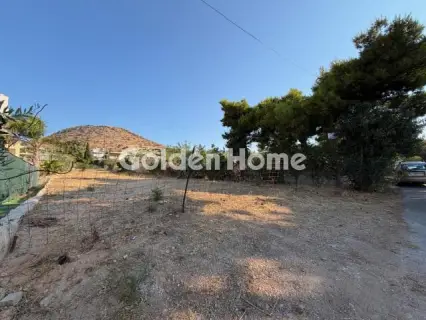 Residential 600m<sup>2</sup> for sale photo 5654357