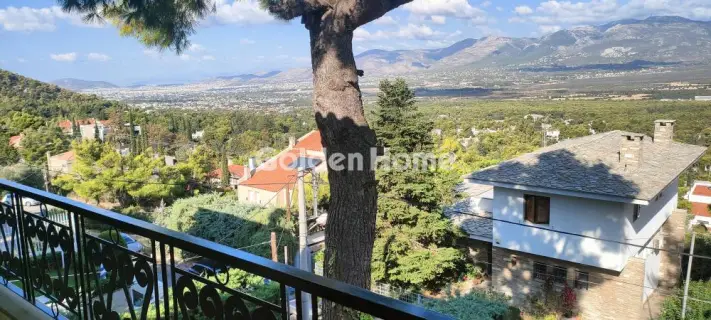 House 344m<sup>2</sup> for sale photo 23