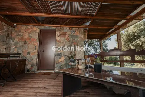 Apartment 30m<sup>2</sup> for rent photo 3