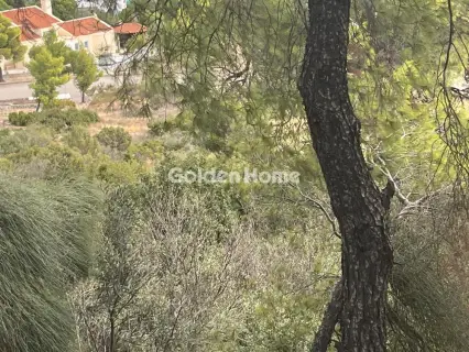 Οικιστικό 1000τ.μ. προς πώληση φωτογραφία 13