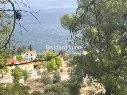 Οικιστικό 1000τ.μ. προς πώληση φωτογραφία 2