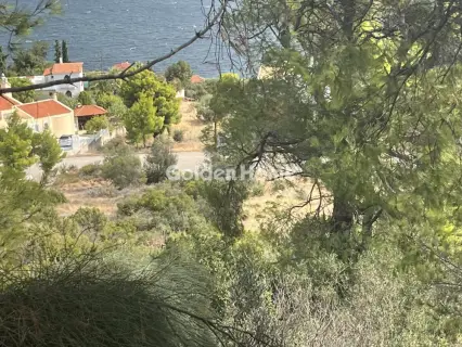 Οικιστικό 1000τ.μ. προς πώληση φωτογραφία 7