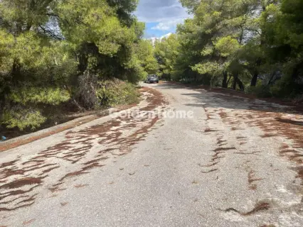 Οικιστικό 1000τ.μ. προς πώληση φωτογραφία 20