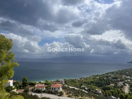 Οικιστικό 1000τ.μ. προς πώληση φωτογραφία 4