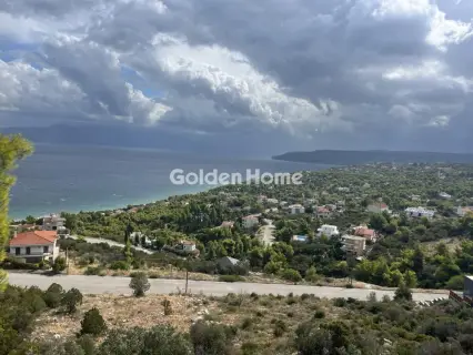Οικιστικό 1000τ.μ. προς πώληση φωτογραφία 5