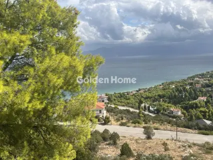 Οικιστικό 1000τ.μ. προς πώληση φωτογραφία 6