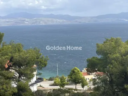 Οικιστικό 1000τ.μ. προς πώληση φωτογραφία 1