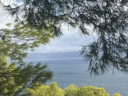 Οικιστικό 1000τ.μ. προς πώληση φωτογραφία 16