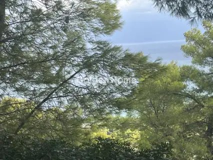 Οικιστικό 1000τ.μ. προς πώληση φωτογραφία 17