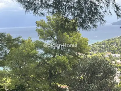 Οικιστικό 1000τ.μ. προς πώληση φωτογραφία 18