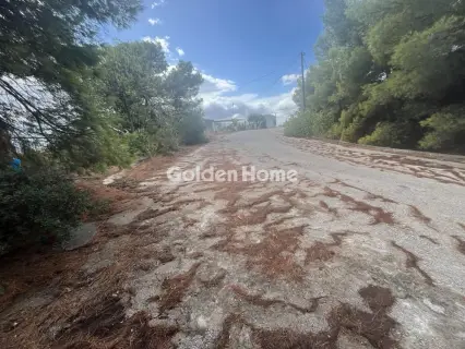 Οικιστικό 1000τ.μ. προς πώληση φωτογραφία 25