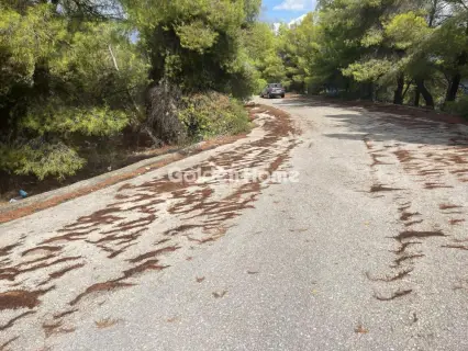 Οικιστικό 1000τ.μ. προς πώληση φωτογραφία 26