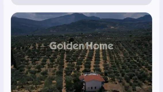 Μεζονέτα Ανεξάρτητη 252τ.μ. προς πώληση φωτογραφία 20