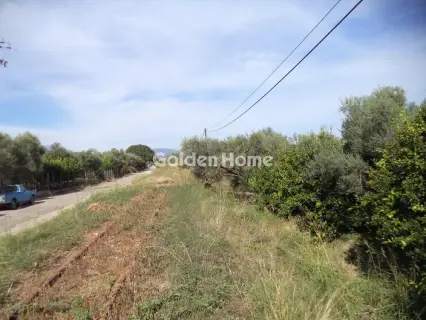 Αγροτεμάχιο 3824τ.μ. προς πώληση φωτογραφία 5658526