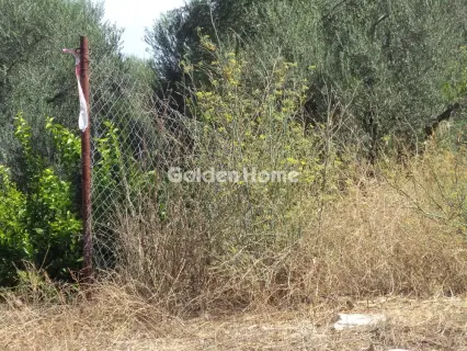Αγροτεμάχιο 3824τ.μ. προς πώληση φωτογραφία 5658527