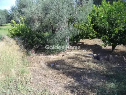 Αγροτεμάχιο 3824τ.μ. προς πώληση φωτογραφία 5658527