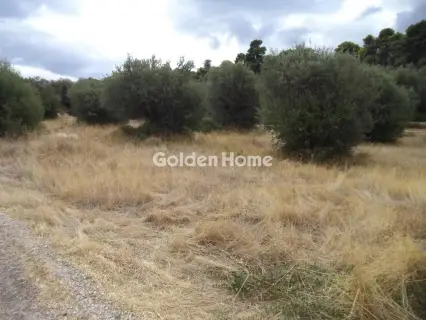 Οικιστικό 553τ.μ. προς πώληση φωτογραφία 5658971