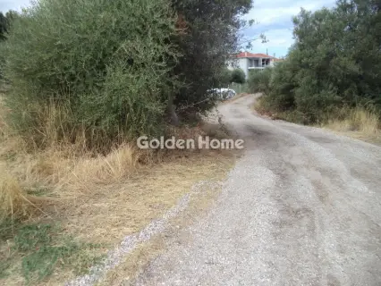 Οικιστικό 553τ.μ. προς πώληση φωτογραφία 5658974