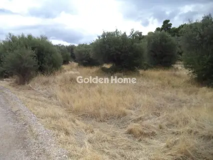 Οικιστικό 553τ.μ. προς πώληση φωτογραφία 5658975