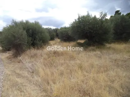 Οικιστικό 553τ.μ. προς πώληση φωτογραφία 5658986